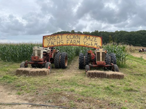 Two vintage tractors sit on hay bales in front of a sign reading "Great Corn Maze, Zach's Farm, York, ME," with cornfields behind.