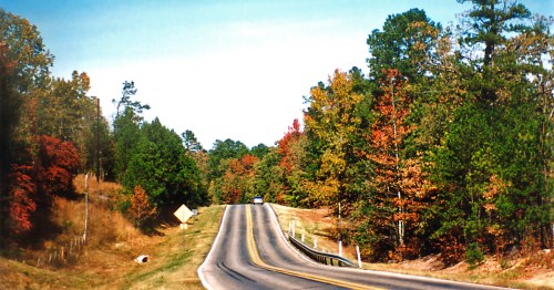 a road winds through fall colors in winnsboro texas