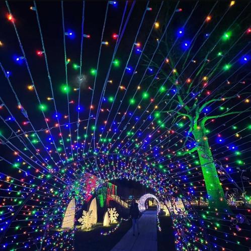 A vibrant display of colorful lights forming an archway, with a person walking through at night.