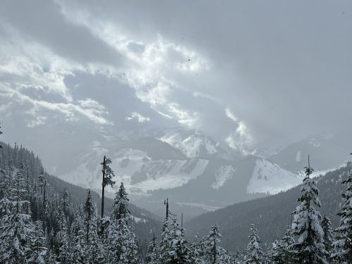 A snowy mountain landscape with tall evergreen trees and dramatic clouds in the sky.