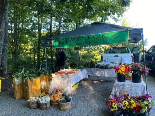 A farmer's market stand with fresh produce, flowers, and a vendor under a canopy in a wooded area.