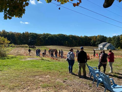 A pumpkin patch with people walking among pumpkins, trees in the background, and a house in the distance under a clear blue sky.