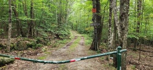 A dirt path leads into a lush green forest, with a gate and warning signs visible at the entrance.