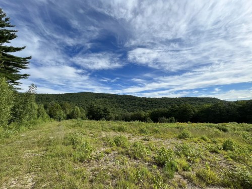 A scenic view of rolling green hills under a blue sky with wispy clouds, framed by trees in the foreground.