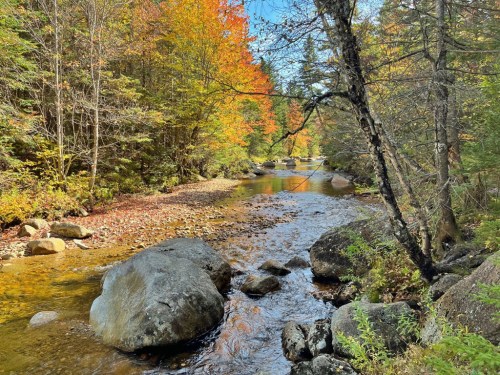 A serene river flows through a forest with vibrant autumn foliage and large rocks along the banks.