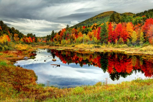 A serene landscape featuring a calm lake reflecting vibrant autumn foliage and a distant mountain under a cloudy sky.