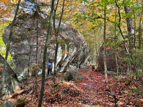 A person walks along a forest path surrounded by large boulders and colorful autumn leaves.