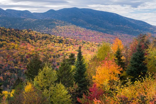Vibrant autumn foliage covers rolling hills and mountains under a cloudy sky, showcasing a palette of reds, oranges, and yellows.