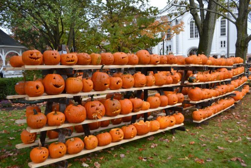 A display of carved pumpkins on wooden shelves, set outdoors among trees and a building in the background.