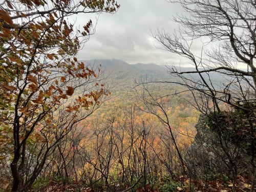A scenic view of autumn foliage through bare branches, with mountains in the background under a cloudy sky.