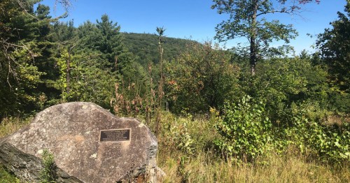 A large rock with a plaque surrounded by lush greenery and trees under a clear blue sky.