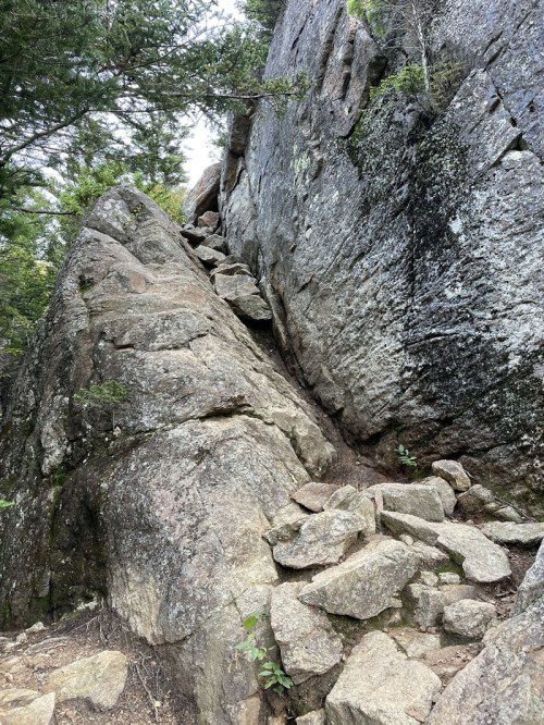Rocky terrain with steep, jagged cliffs and scattered boulders, surrounded by trees and greenery.