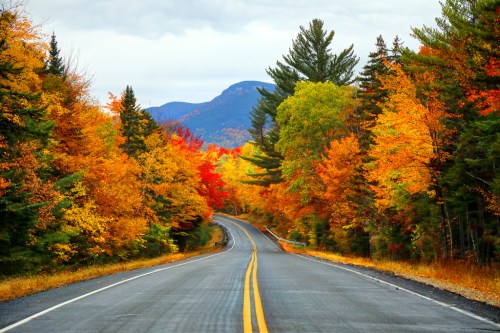 A winding road surrounded by vibrant autumn foliage and mountains in the background under a cloudy sky.