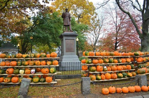 A statue surrounded by rows of carved pumpkins, set against colorful autumn trees.
