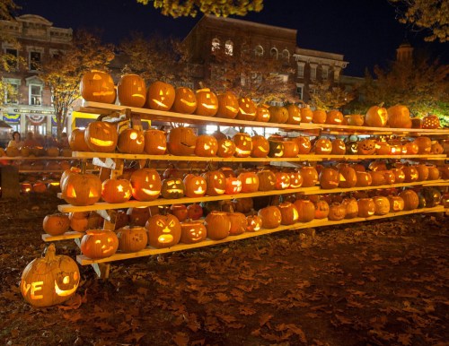 A display of carved pumpkins glowing at night, arranged on wooden shelves amidst fallen leaves.