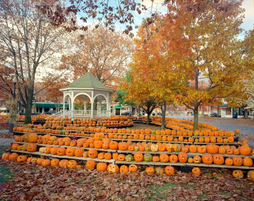 A park filled with carved pumpkins, surrounded by colorful autumn trees and a gazebo in the background.