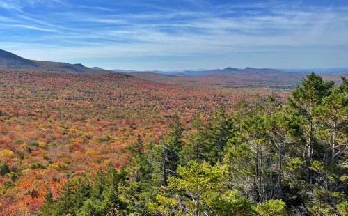 A panoramic view of a vibrant autumn landscape with colorful foliage and distant mountains under a clear blue sky.