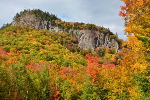 A vibrant autumn landscape featuring a rocky hill surrounded by trees in shades of red, orange, and green.