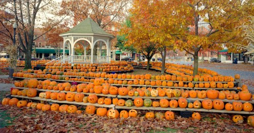 A festive scene of a gazebo surrounded by rows of carved pumpkins and autumn leaves in a vibrant fall setting.
