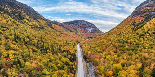 A scenic view of a winding road through vibrant autumn foliage in a mountainous landscape.