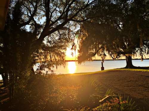 Sunset over a calm lake, framed by trees with Spanish moss, casting a warm glow on the water's surface.