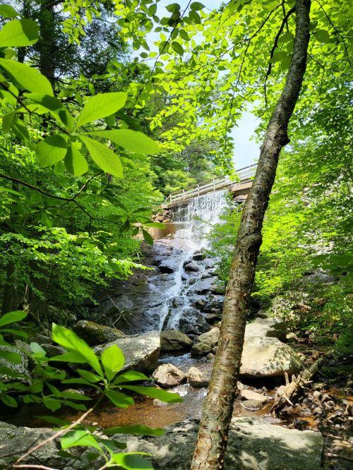 A serene waterfall cascades over rocks, surrounded by lush green foliage and trees, with a wooden bridge above.