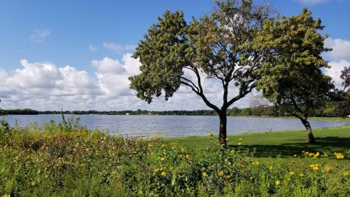 A serene lake scene with lush green grass, blooming wildflowers, and trees under a bright blue sky with fluffy clouds.
