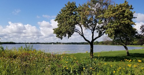 A serene lake scene with green grass, wildflowers, and trees under a partly cloudy blue sky.