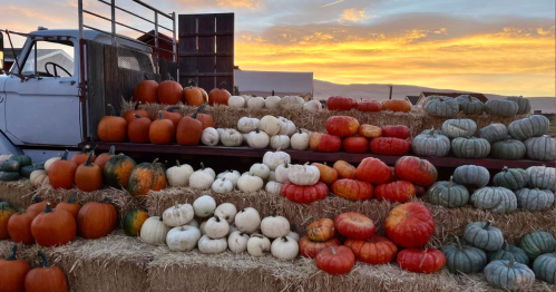 A colorful display of pumpkins in various shapes and sizes stacked on hay bales against a sunset backdrop.