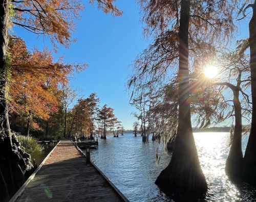 A serene lakeside view with a wooden dock, cypress trees, and autumn foliage under a bright blue sky.
