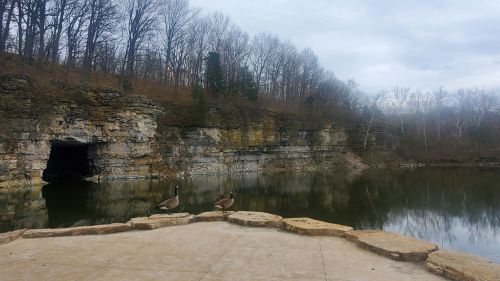 Two geese stand on a stone platform by a calm lake, surrounded by rocky cliffs and bare trees under a cloudy sky.