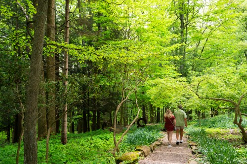 A couple walks hand in hand along a stone path through a lush green forest.