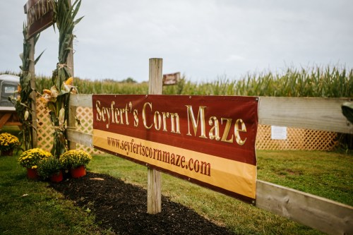 Sign for Seyfert's Corn Maze with flowers and cornfield in the background, promoting the maze and its website.