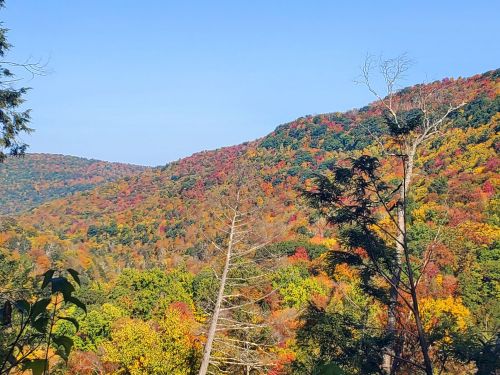 A scenic view of colorful autumn foliage covering rolling hills under a clear blue sky.