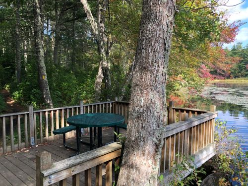 A wooden deck with a green table overlooks a serene pond surrounded by trees and autumn foliage.