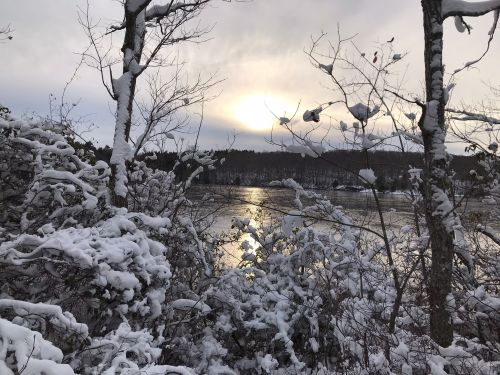 A snowy landscape with trees and bushes, reflecting sunlight on a river under a cloudy sky.