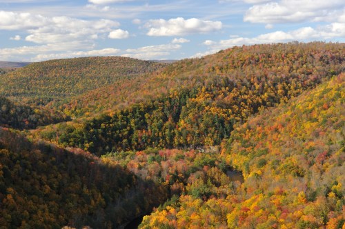 A scenic view of rolling hills covered in vibrant autumn foliage under a blue sky with fluffy clouds.
