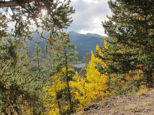 A scenic view of mountains and a lake framed by vibrant autumn trees and evergreens under a cloudy sky.