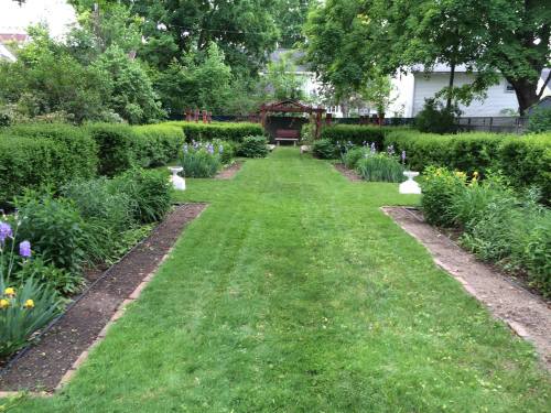 A lush garden path lined with greenery and flowers, leading to a wooden bench under a trellis.
