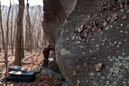 A close-up of a textured rock with lichen, with a blurred figure climbing in the background among bare trees.
