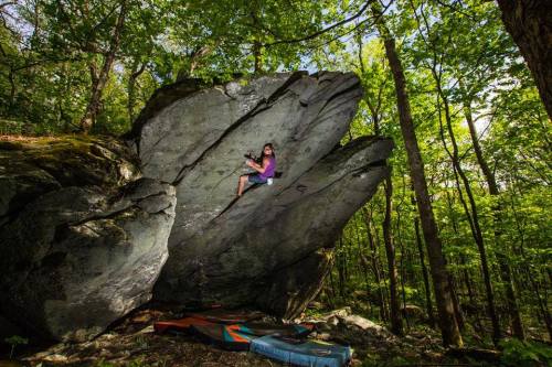 A climber in a purple shirt ascends a large boulder in a lush, green forest, with crash pads below.