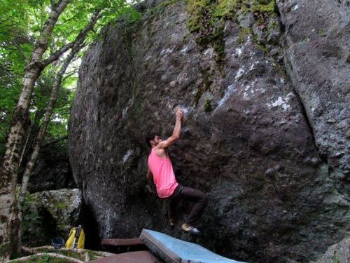 A climber in a pink tank top ascends a large boulder surrounded by trees, with a crash pad below for safety.