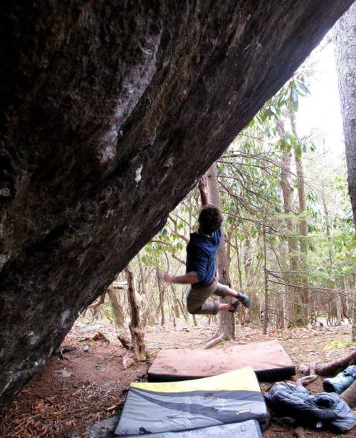 A climber jumps off a boulder, with crash pads below and trees surrounding the area.