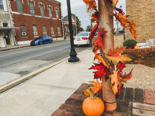 A street scene featuring a pumpkin and autumn leaves wrapped around a pole, with buildings and cars in the background.