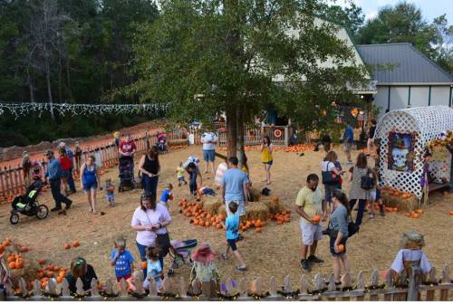 A busy pumpkin patch with families and children selecting pumpkins, surrounded by festive decorations and a barn.