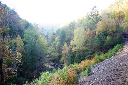 A misty landscape of trees in autumn colors, with a river winding through a valley surrounded by hills.