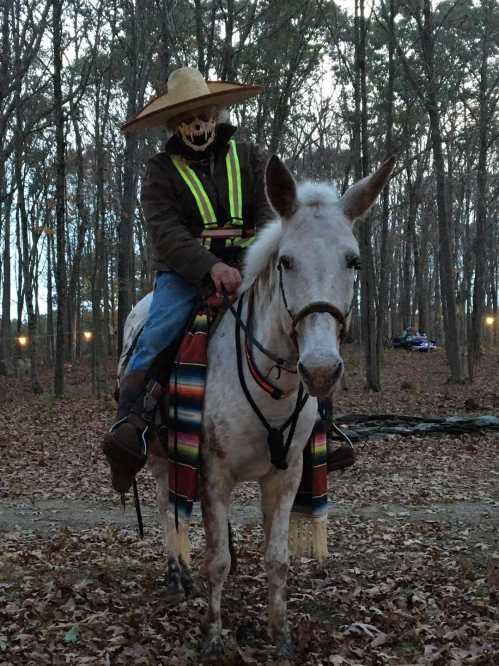 A person wearing a skull mask and sombrero rides a white horse, surrounded by trees and fallen leaves.