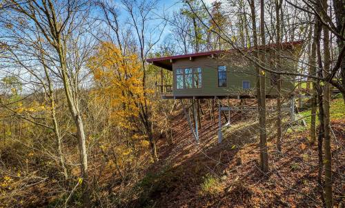 A modern cabin on stilts nestled among trees, surrounded by autumn foliage and a clear blue sky.