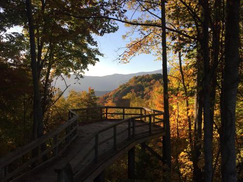 A wooden walkway winds through vibrant autumn trees, leading to a scenic view of mountains in the distance.