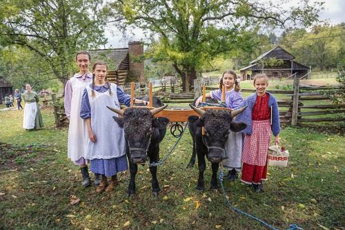Four girls in historical attire stand with two oxen in a rural setting, surrounded by wooden fences and trees.